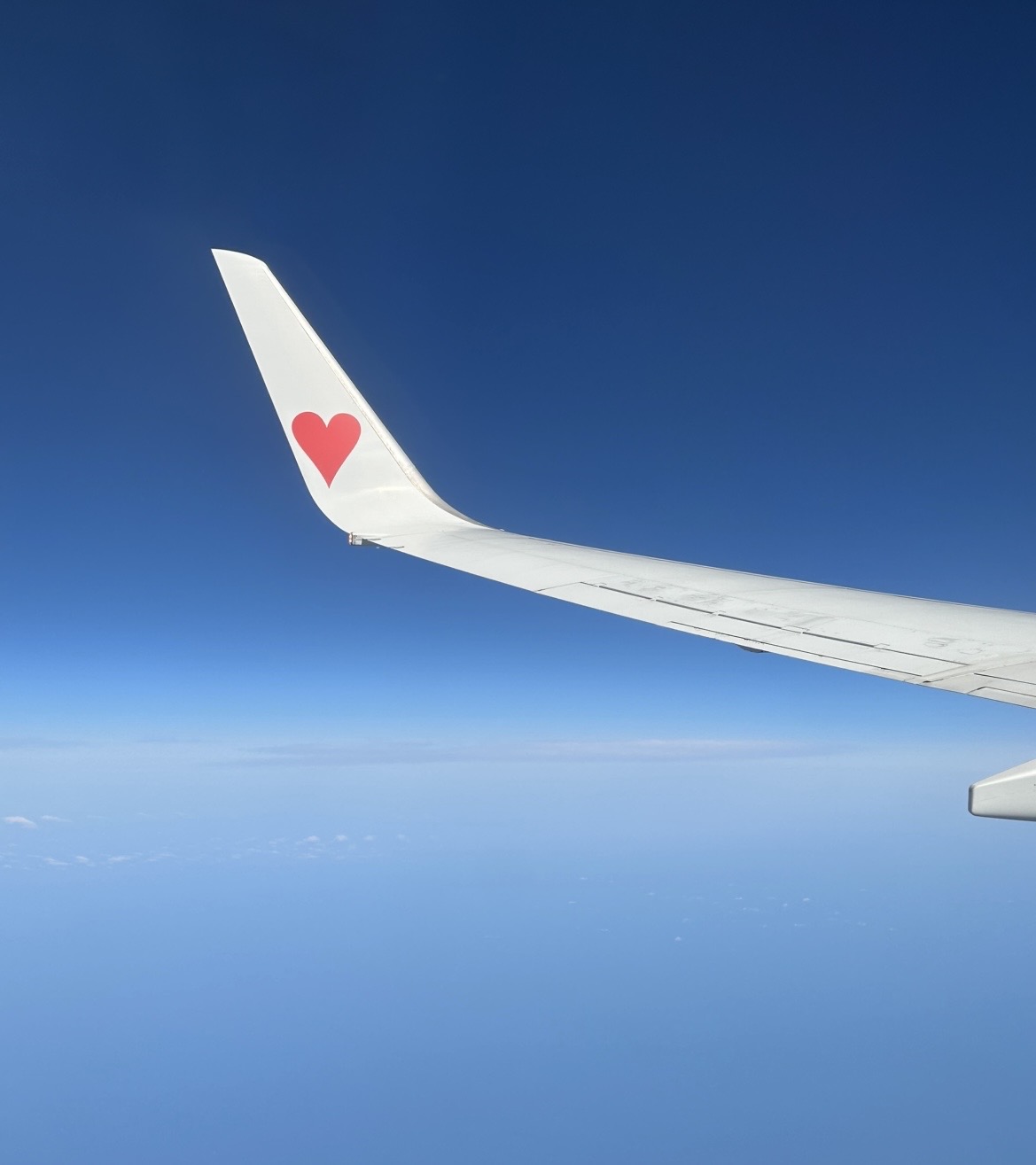 神戸から日帰りで【北海道】行ってきました🛫